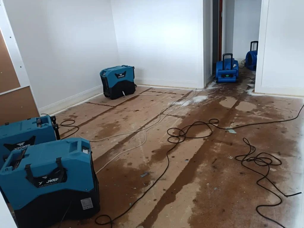 Flood service Geelong technicians assessing water damage and moisture levels before starting flood restoration work