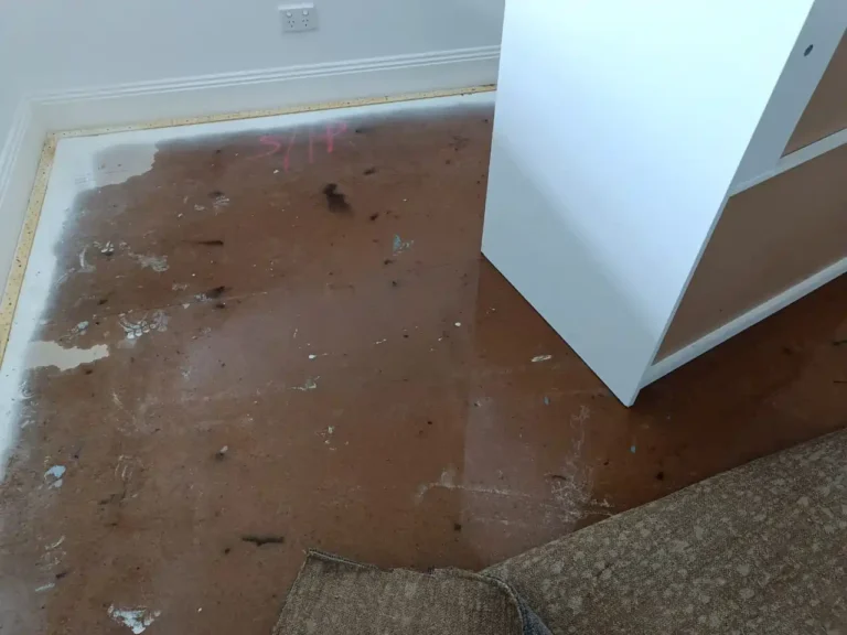 Emergency flood service in Geelong with professional technicians responding on site to water damage