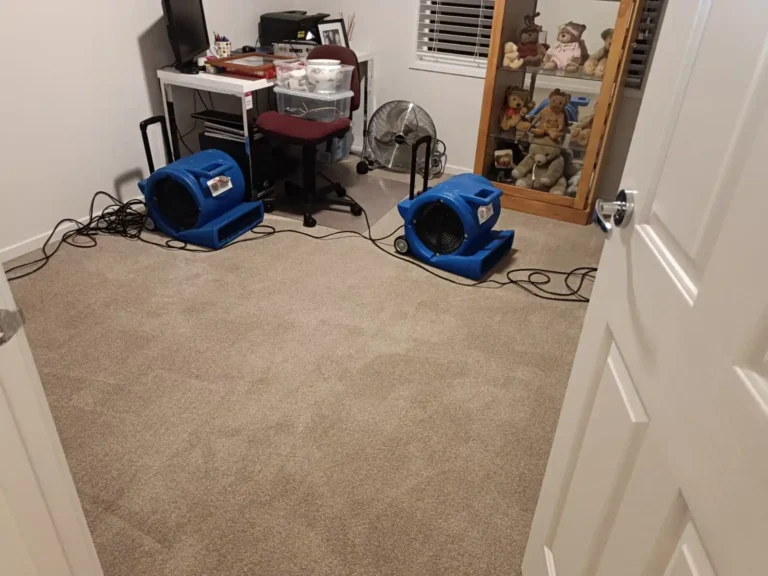 Carpet water damage repairs in Geelong with professional water extraction and drying restoring flood-affected carpets