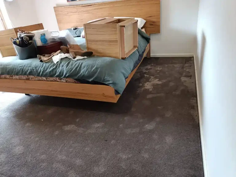 Flood Restoration Geelong team restoring a wet carpet floor using professional water extraction and drying equipment