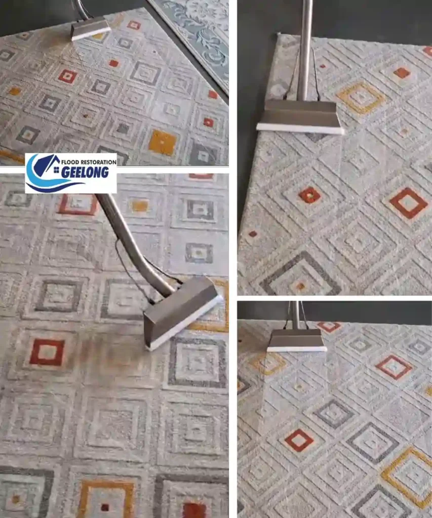 carpetcleaning (2)