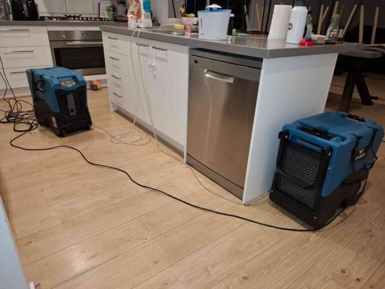 flood restoration (2) min