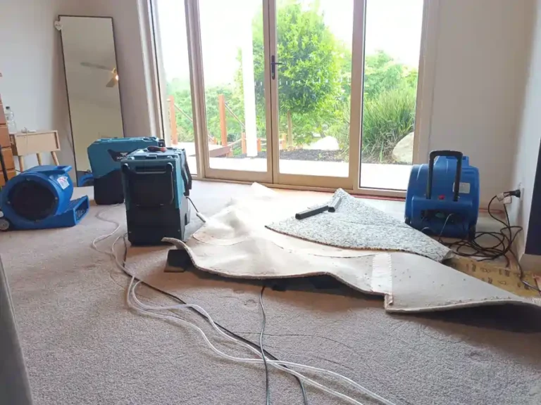 Flood restoration carpet damage repairs in Geelong with professional water extraction and carpet restoration equipment