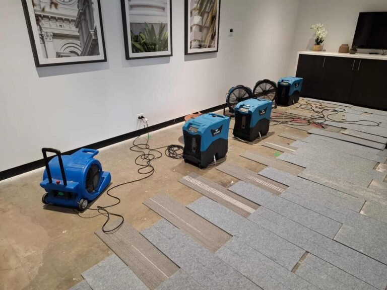 flood restoration (1)