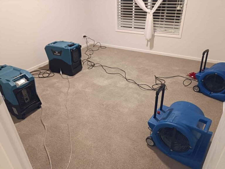 flood restoration (1)