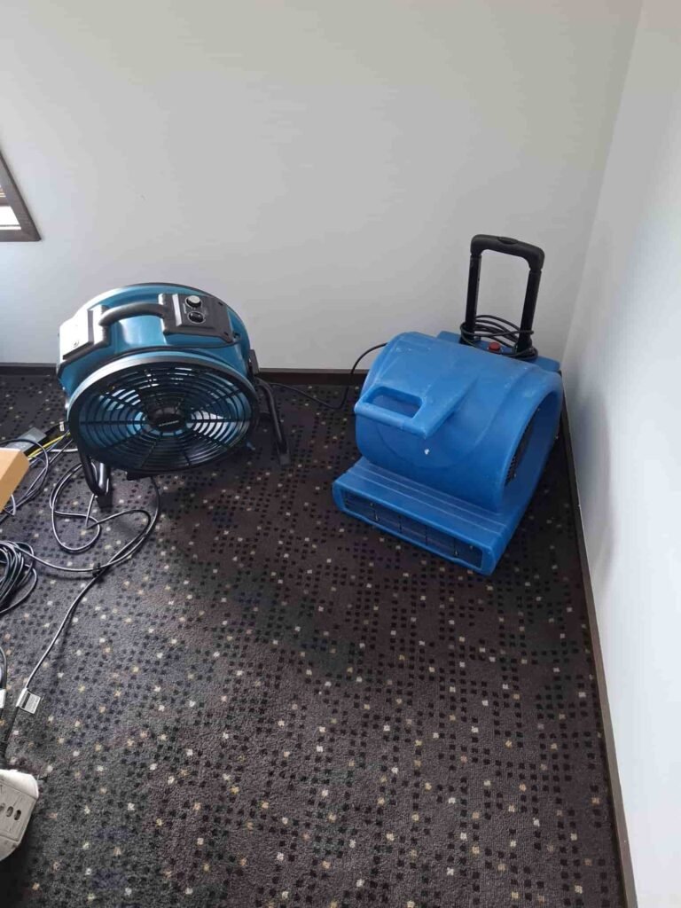 Wet carpet drying in a Geelong property using professional air movers and dehumidifiers after water damage