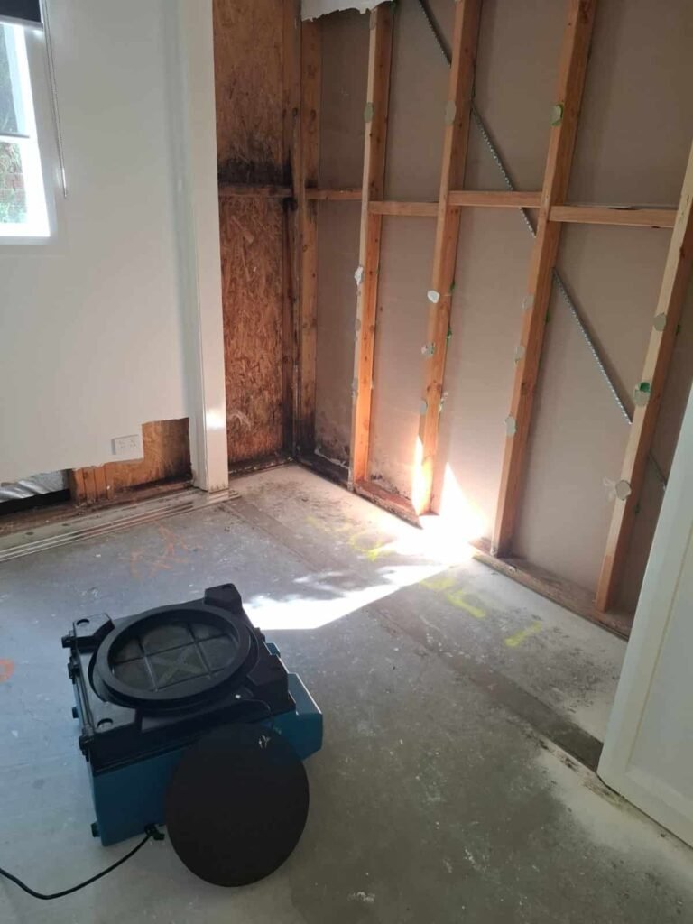 Flood damage restoration team in Belmont extracting water and performing mold remediation in a residential living room.