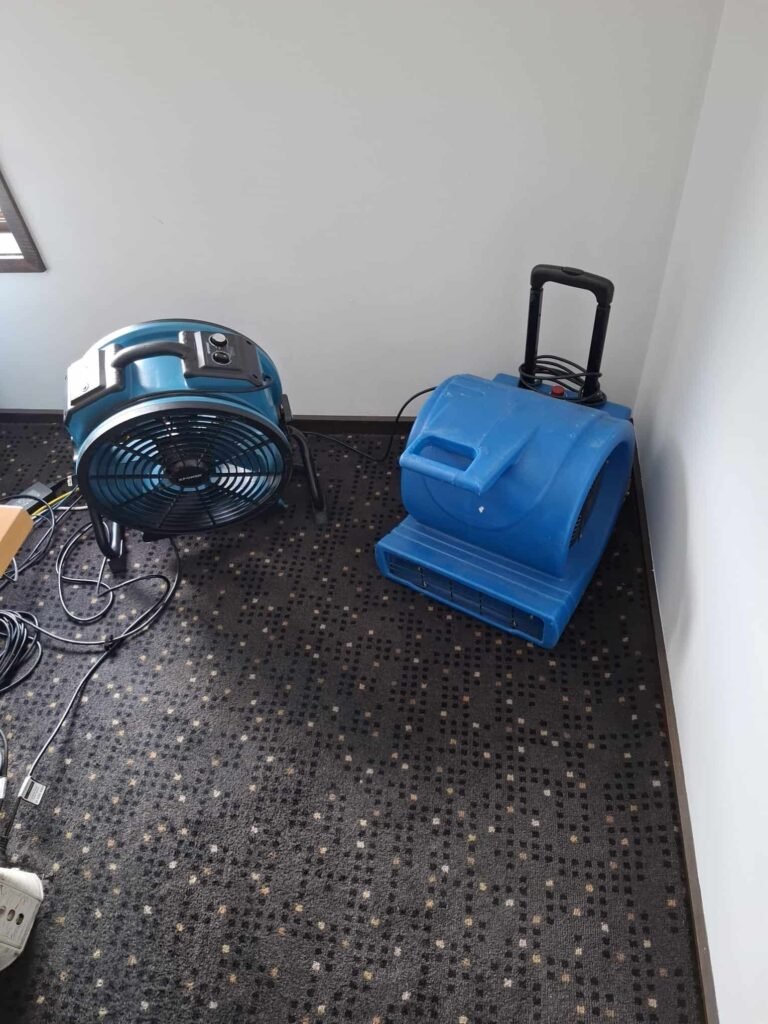 Professional flood restoration technicians extracting water from an Anglesea residence.