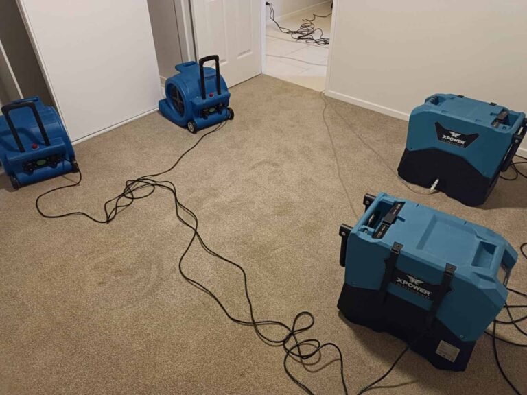 flood restoration (4)