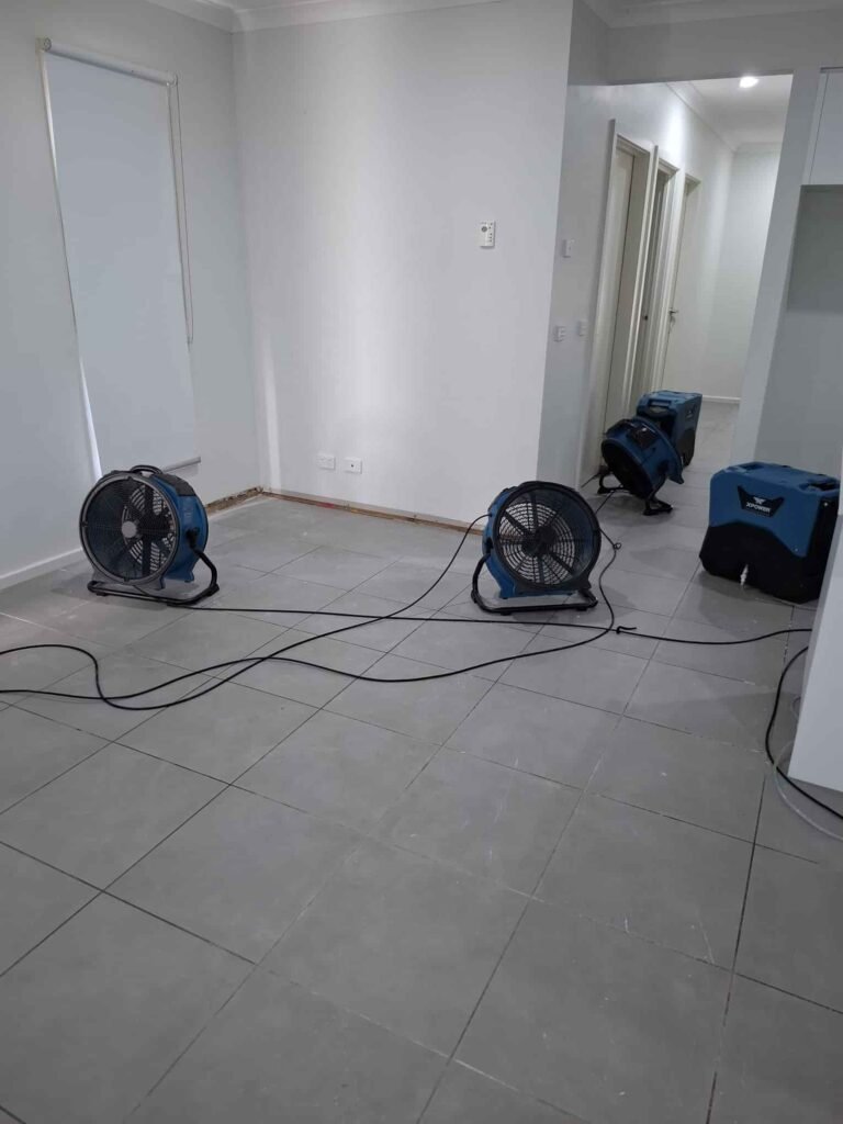 flood restoration (8)