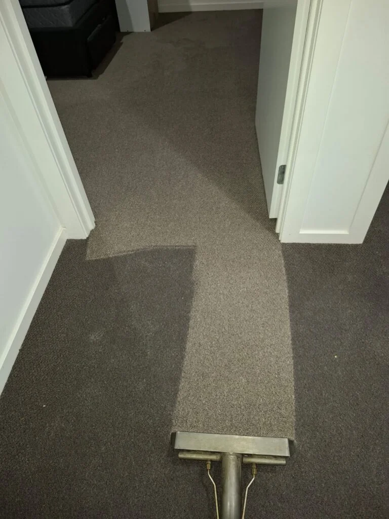 Professional carpet drying service underway in a Geelong residential home using industrial drying equipment