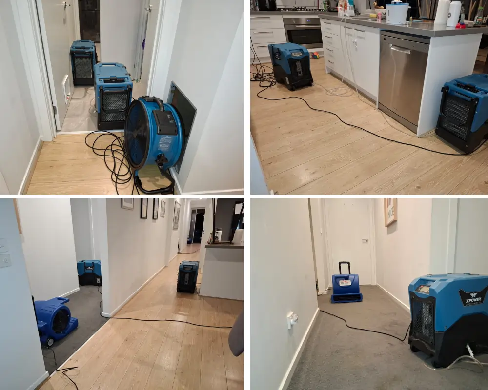 Flood restoration Geelong team performing emergency water damage cleanup at residential property