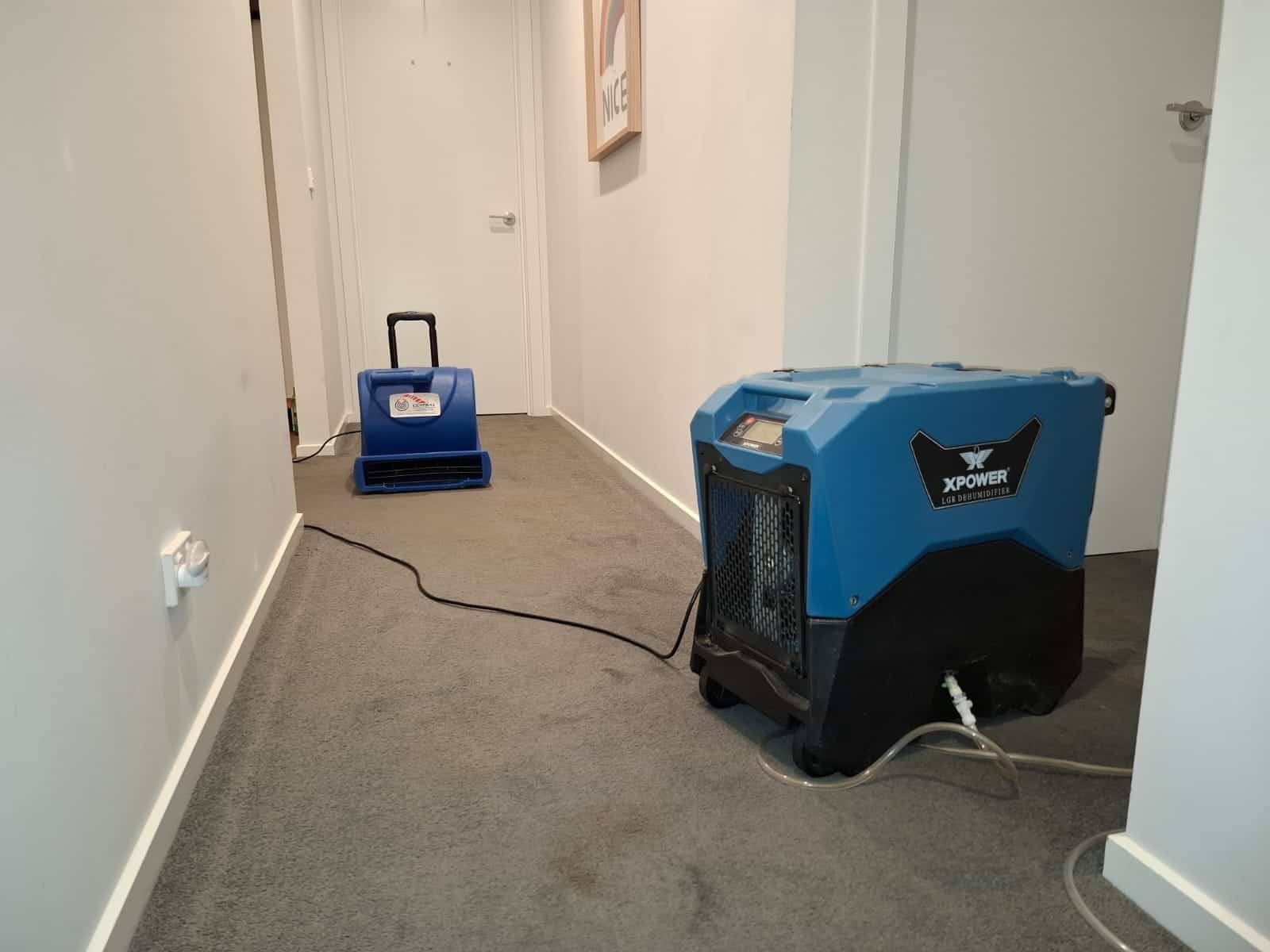 Flood Restoration Geelong team working inside a home using professional drying machines and water extraction equipment after flood damage