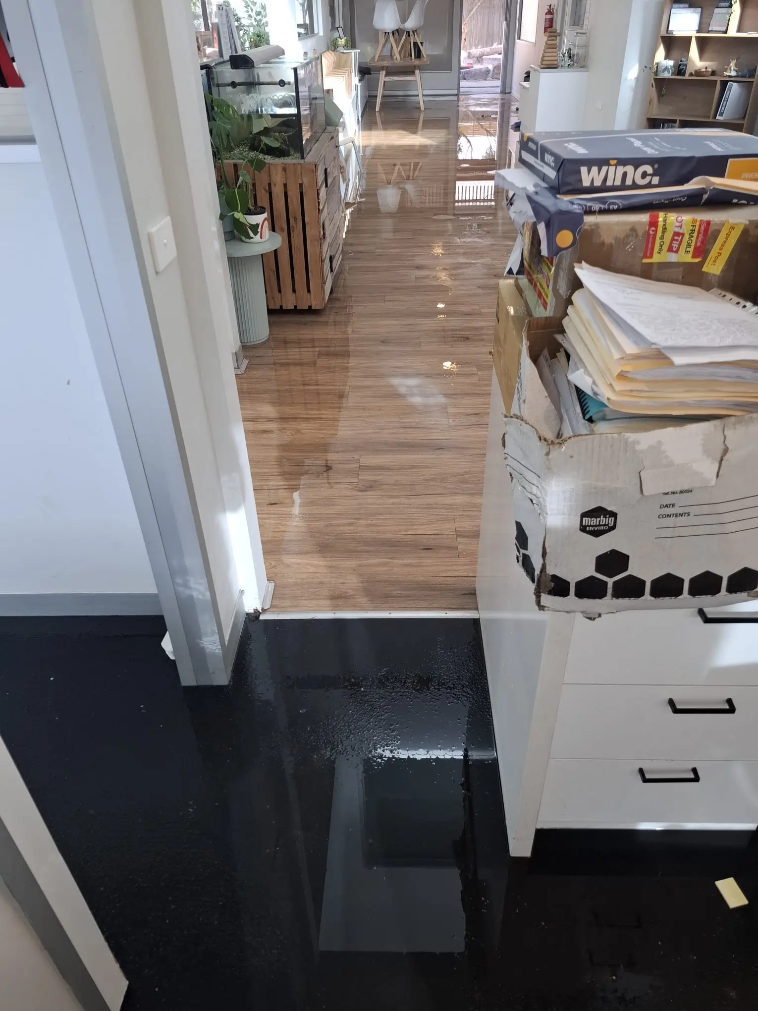 Flood Restoration Geelong team working from the office coordinating professional flood and water damage restoration services across Geelong