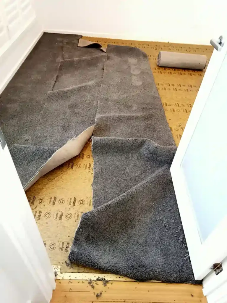 Carpet floor restoration after flood damage in a Geelong home, showing professional water extraction and carpet drying process