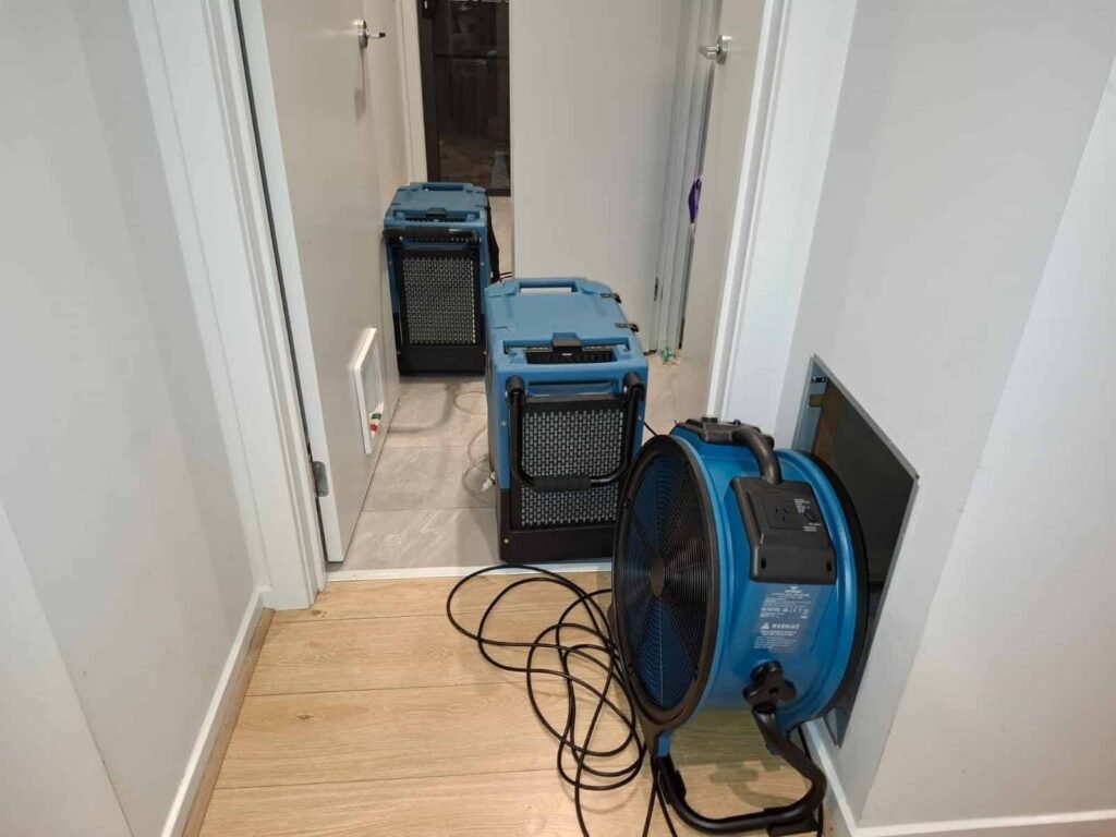 In-home flood restoration in Geelong with technicians operating professional drying and dehumidification equipment after water damage