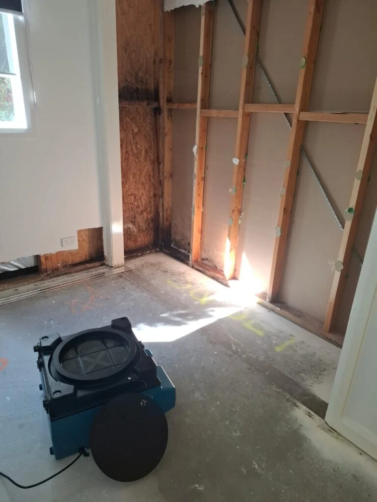 Professional mould remediation and black mould removal service in Geelong property