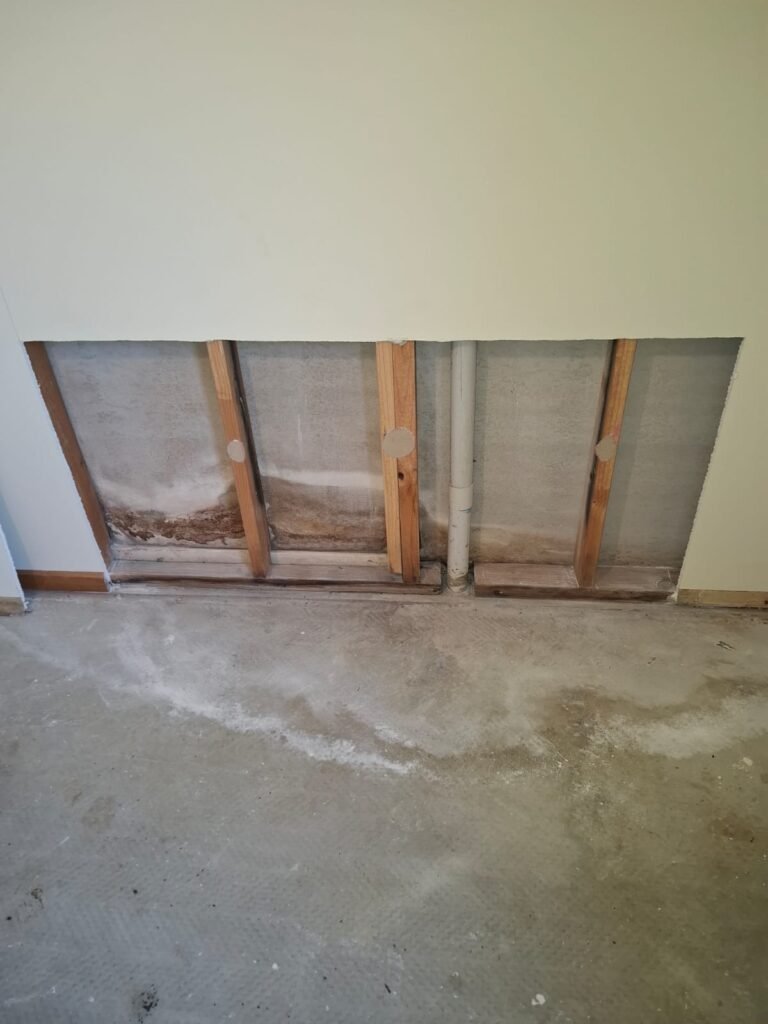 Professional mould removal service in a Geelong residential property