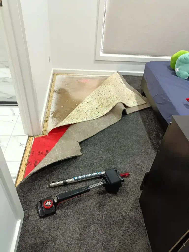 Professional mould removal process ongoing in a Geelong residential property