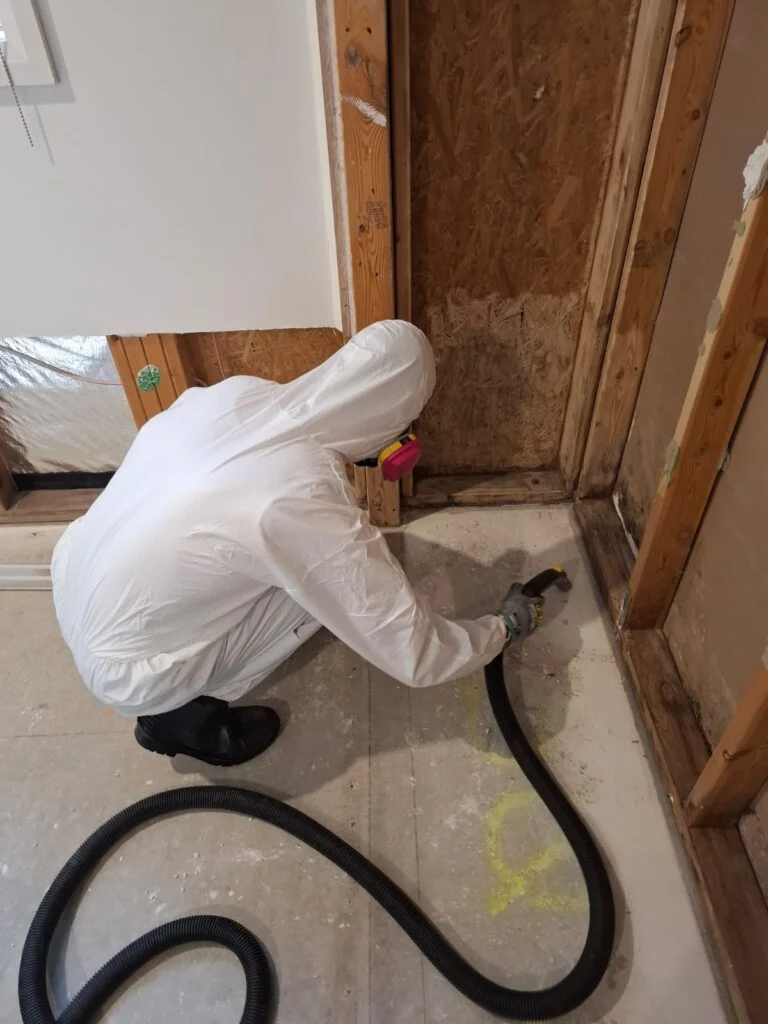 IICRC-certified technician performing mould remediation in a Geelong home