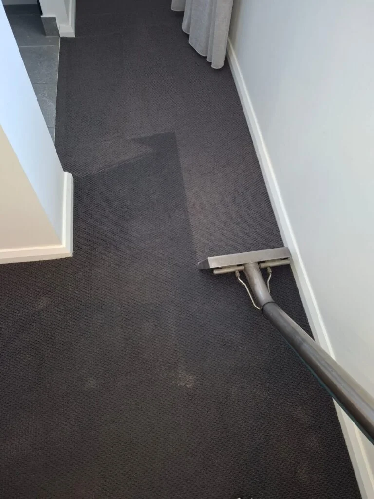 Water damage restoration Geelong team providing emergency flood cleanup service